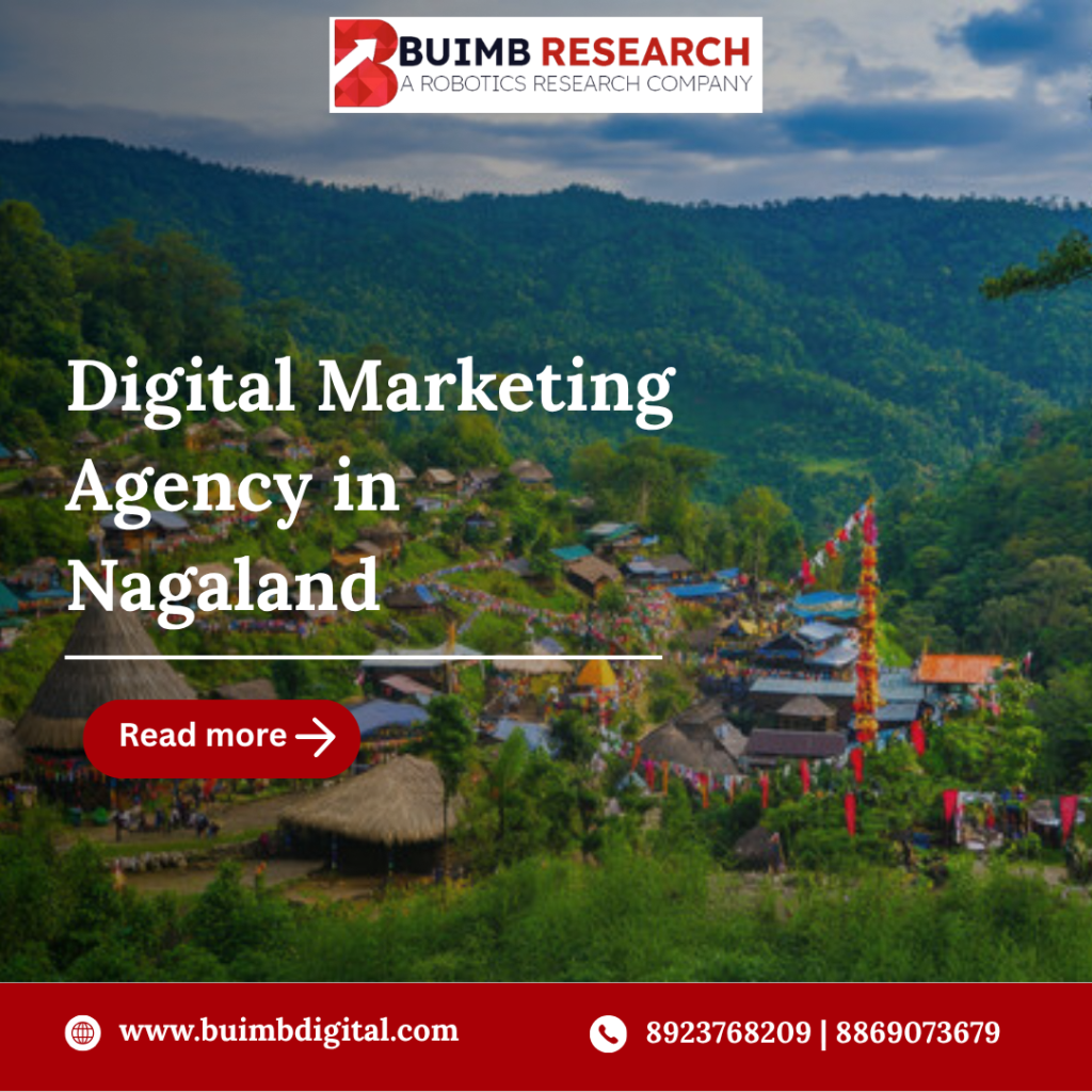 Digital Marketing Agency in Nagaland