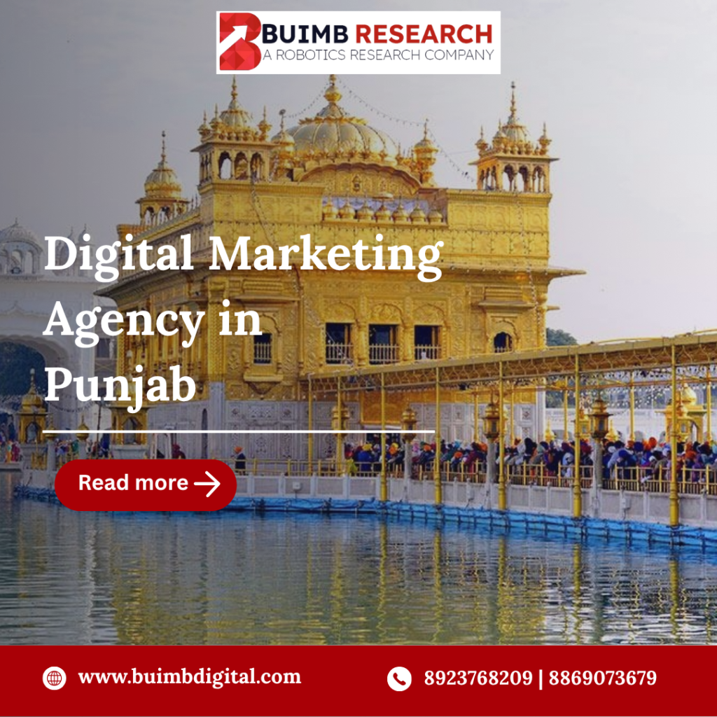 Digital Marketing Agency in Punjab