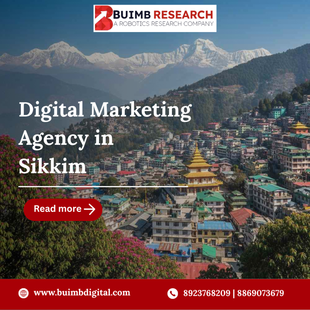 Digital Marketing Agency in Sikkim