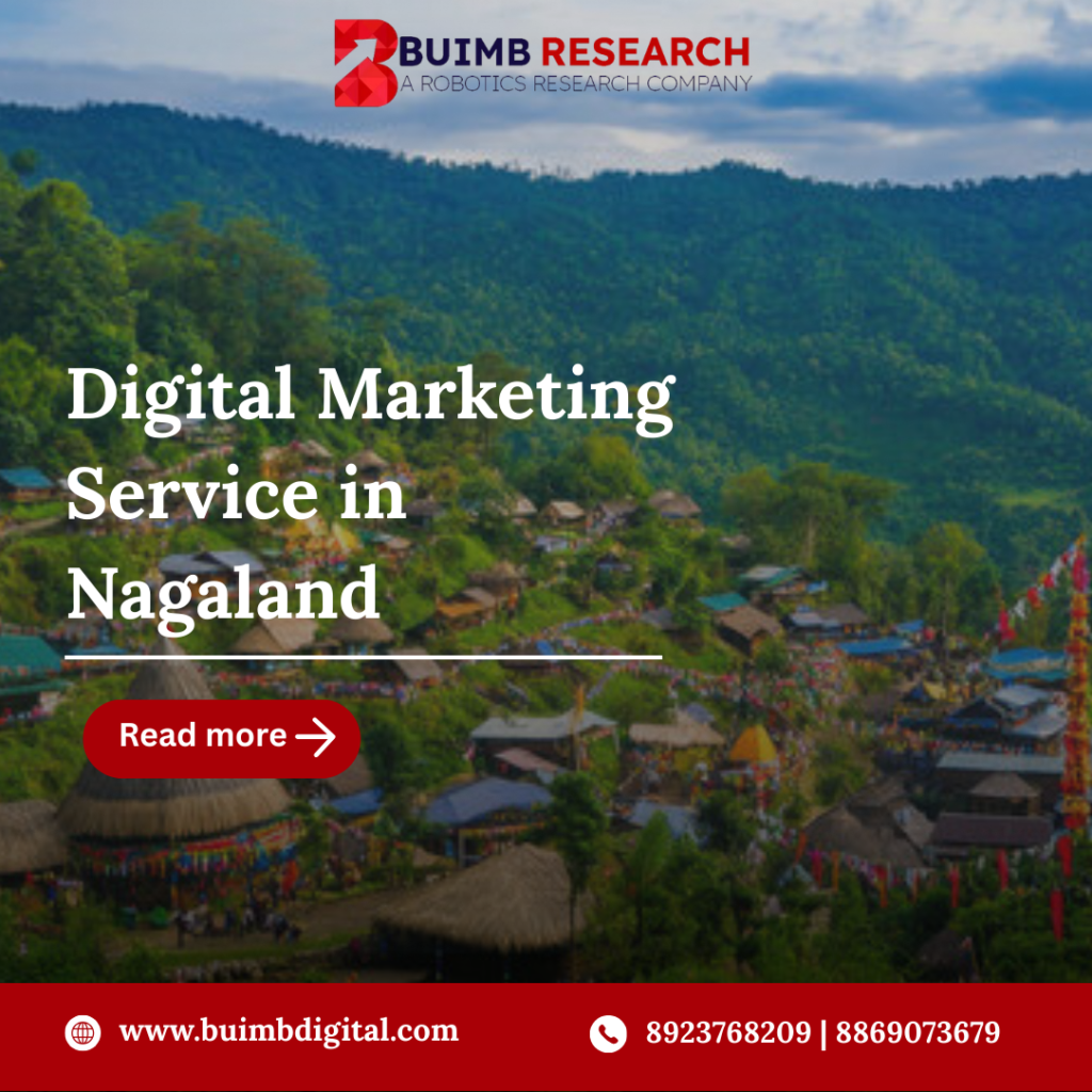 Digital Marketing Service in Nagaland