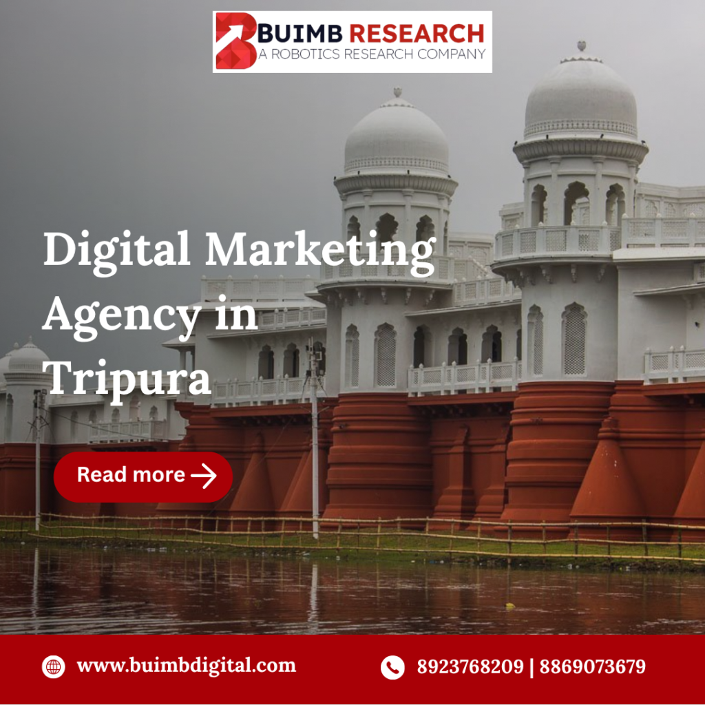Digital Marketing Agency in Tripura